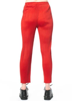 PLEATS PLEASE ISSEY MIYAKE, Hose BASICS 3 -Kleider Geschaft pp28 jf807 neu ganz 4